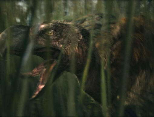 Ave del terror selva tropical.